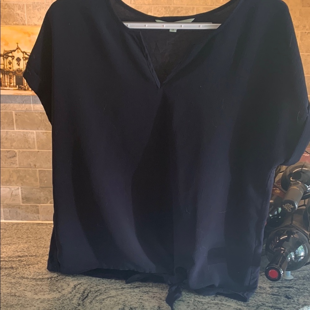 Cleo blue Blouse Chic Top